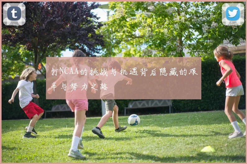 打NCAA的挑战与机遇背后隐藏的艰辛与努力之路