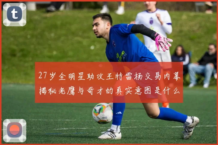 27岁全明星助攻王特雷杨交易内幕揭秘老鹰与奇才的真实意图是什么