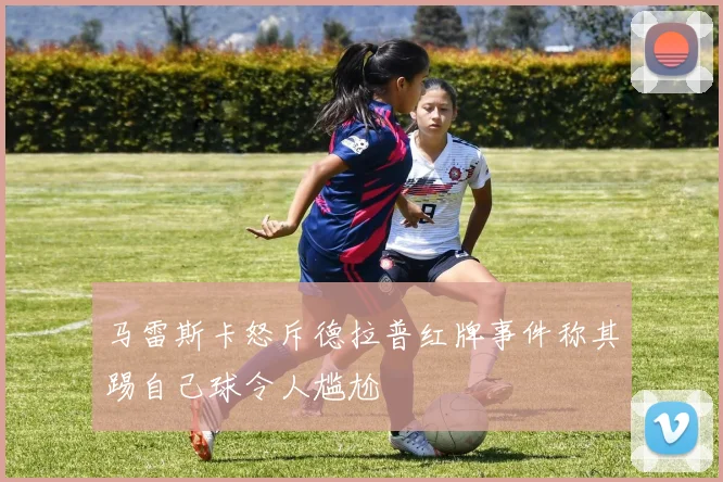 马雷斯卡怒斥德拉普红牌事件称其踢自己球令人尴尬