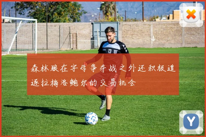 森林狼在字母争夺战之外还积极追逐拉梅洛鲍尔的交易机会