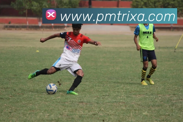 PM体育平台生态图