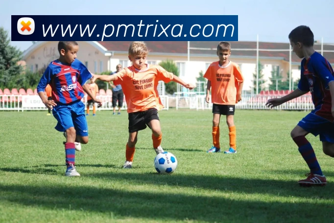 PM体育APP 封面图